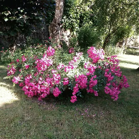 Feriehus Des Compans *