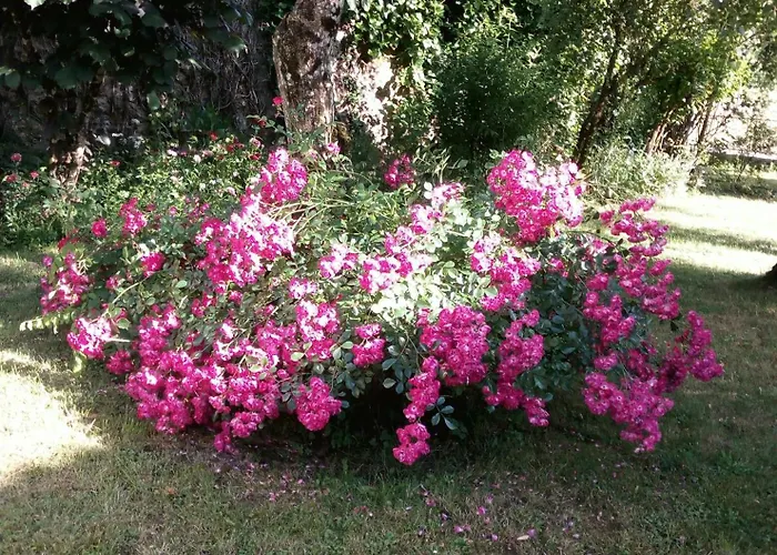 펜션 Des Compans *